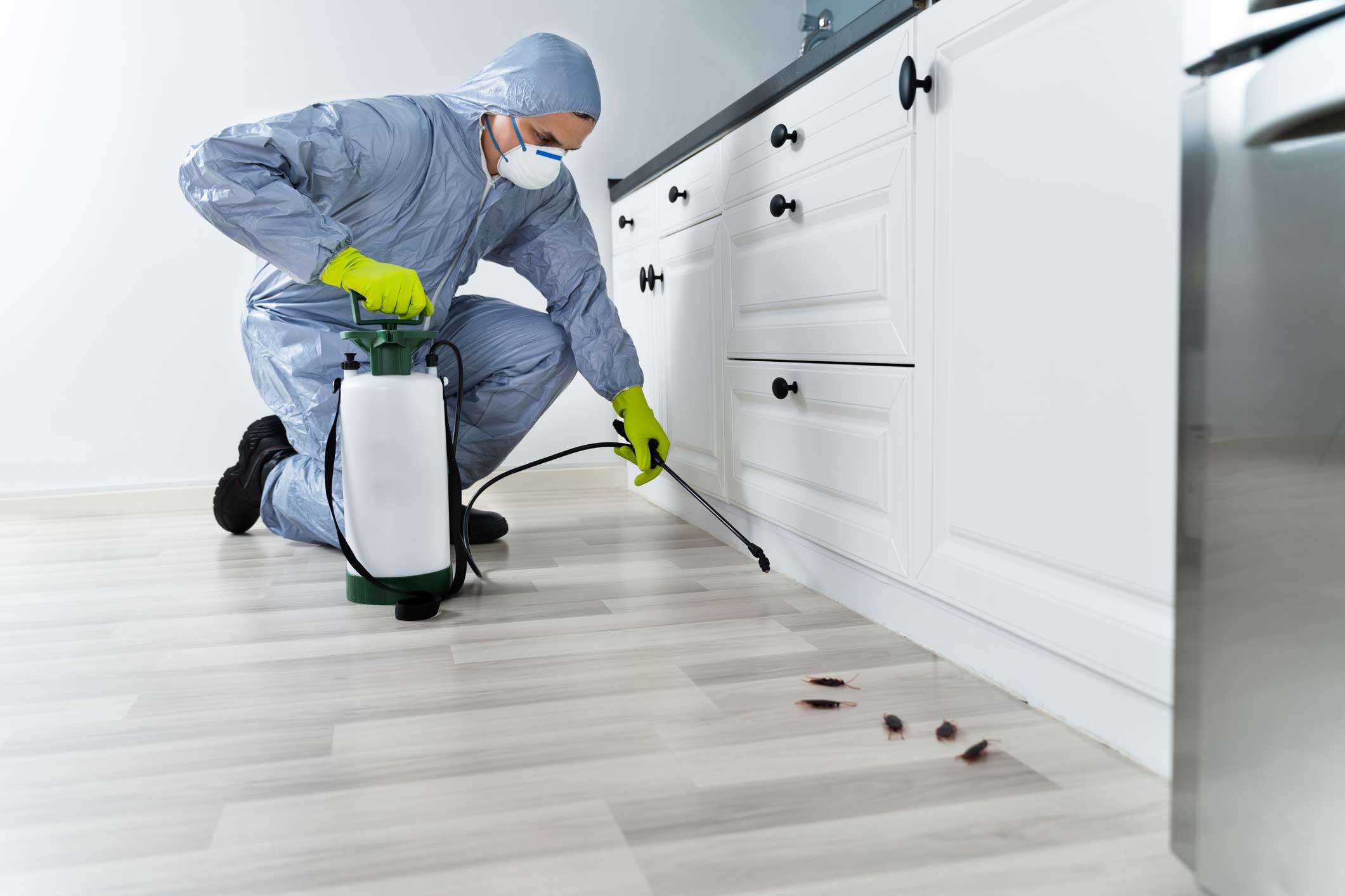 Pest Control